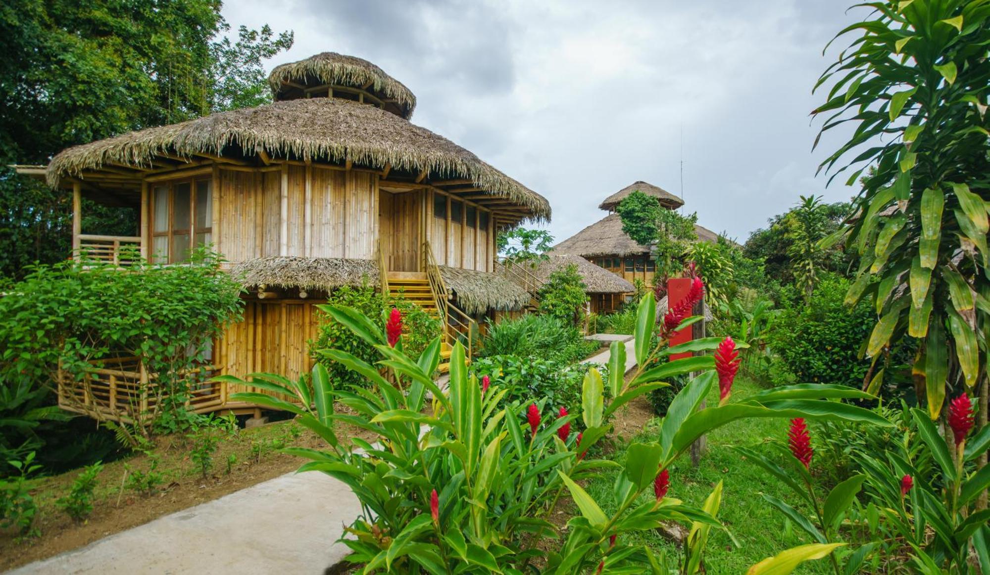 La Selva Eco-Lodge & Retreat Providencia Exterior photo