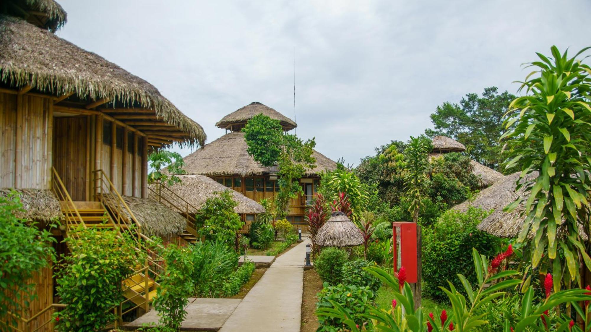 La Selva Eco-Lodge & Retreat Providencia Exterior photo