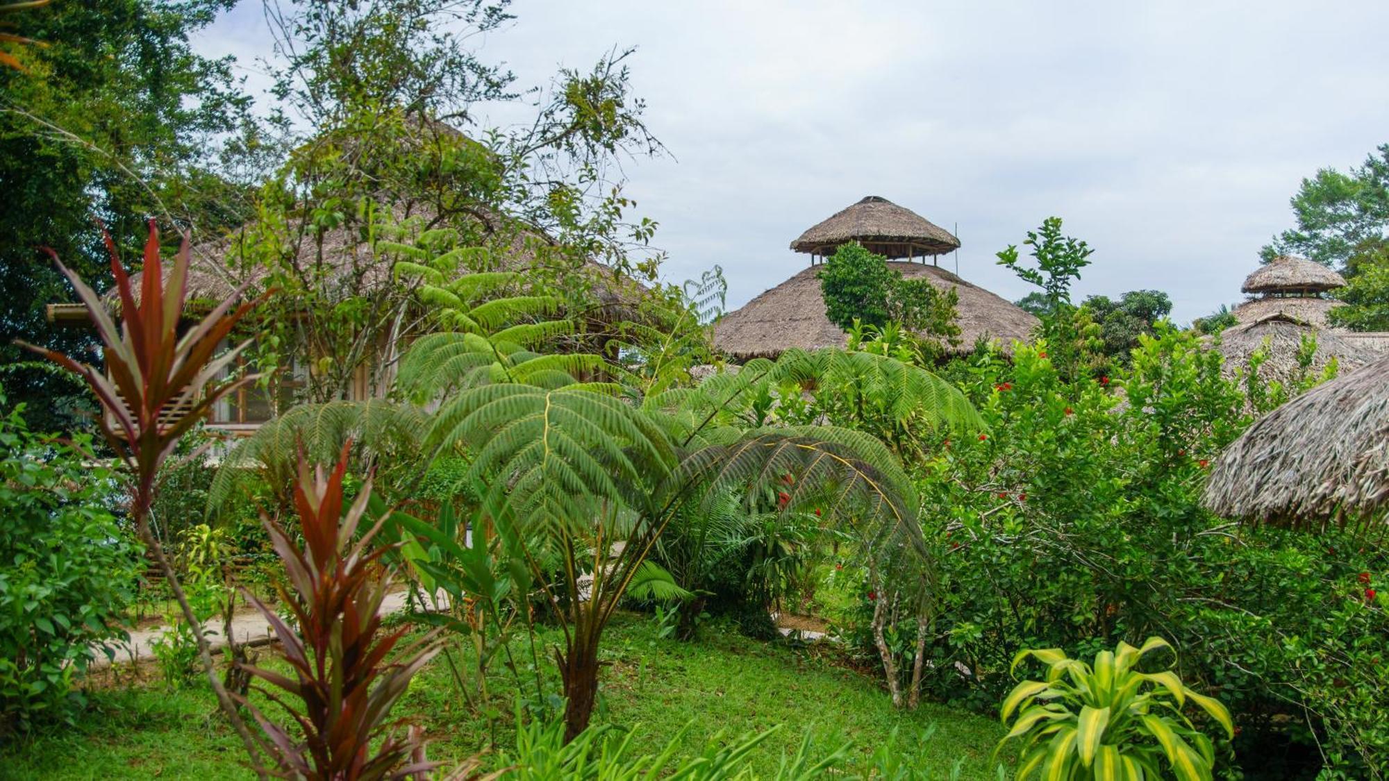 La Selva Eco-Lodge & Retreat Providencia Exterior photo